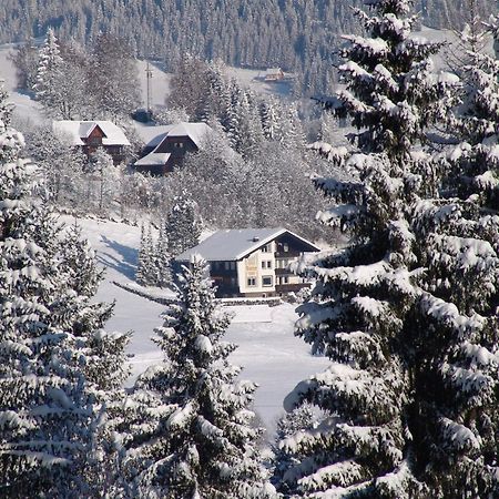 Cozy Apartment In Afritz Am See Near Gerlitzen Ski Area Bagian luar foto